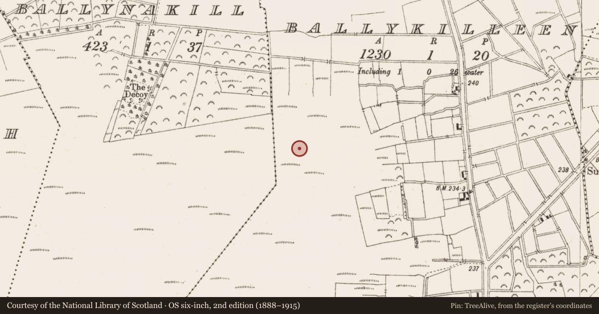 Ordnance Survey six-inch map, 2nd edition (1888–1915) covering the location of Structure - peatland, Ballykilleen, County Offaly, with a pin at the register's coordinates