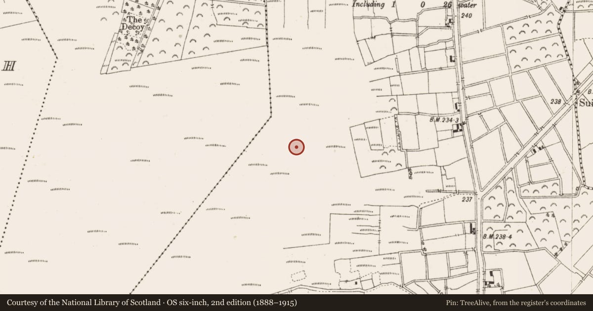 Ordnance Survey six-inch map, 2nd edition (1888–1915) covering the location of Road - class 3 togher, Ballykilleen, County Offaly, with a pin at the register's coordinates