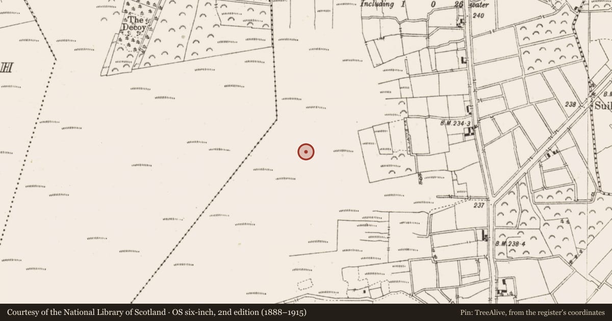 Ordnance Survey six-inch map, 2nd edition (1888–1915) covering the location of Structure - peatland, Ballykilleen, County Offaly, with a pin at the register's coordinates