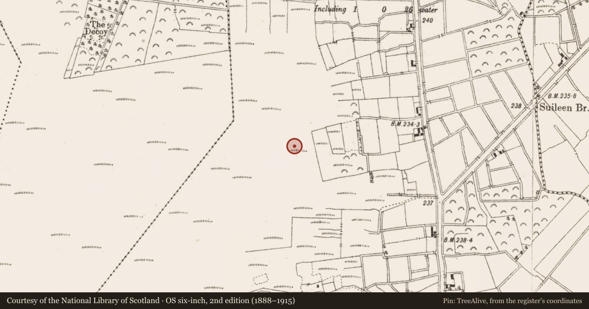 Ordnance Survey six-inch map, 2nd edition (1888–1915) covering the location of Structure - peatland, Ballykilleen, County Offaly, with a pin at the register's coordinates