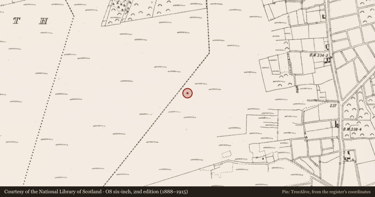 Ordnance Survey six-inch map, 2nd edition (1888–1915) covering the location of Road - class 3 togher, Ballykilleen, County Offaly, with a pin at the register's coordinates