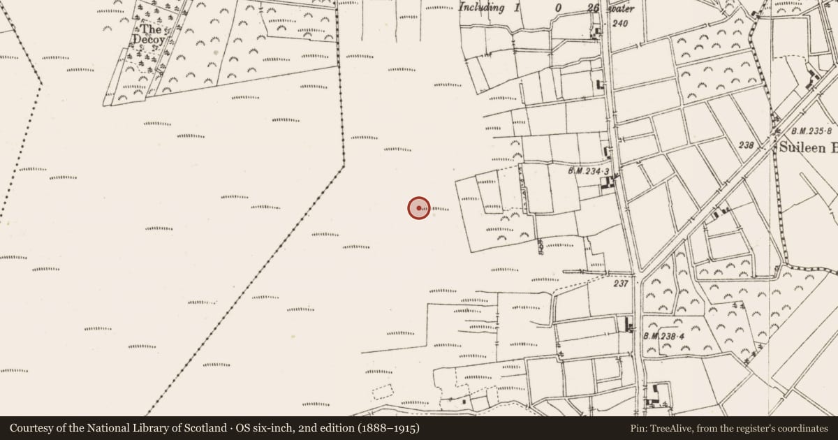 Ordnance Survey six-inch map, 2nd edition (1888–1915) covering the location of Structure - peatland, Ballykilleen, County Offaly, with a pin at the register's coordinates