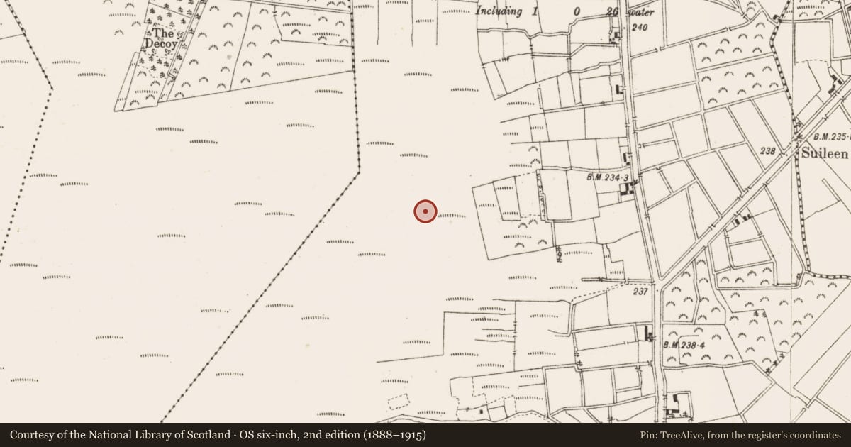 Ordnance Survey six-inch map, 2nd edition (1888–1915) covering the location of Structure - peatland, Ballykilleen, County Offaly, with a pin at the register's coordinates