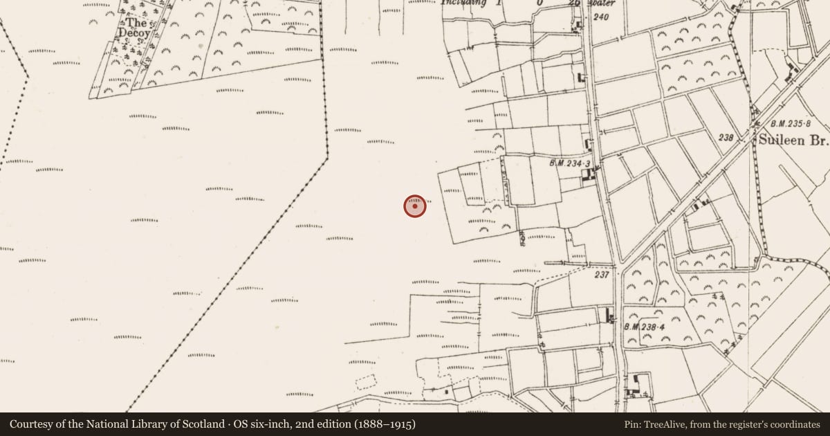 Ordnance Survey six-inch map, 2nd edition (1888–1915) covering the location of Structure - peatland, Ballykilleen, County Offaly, with a pin at the register's coordinates