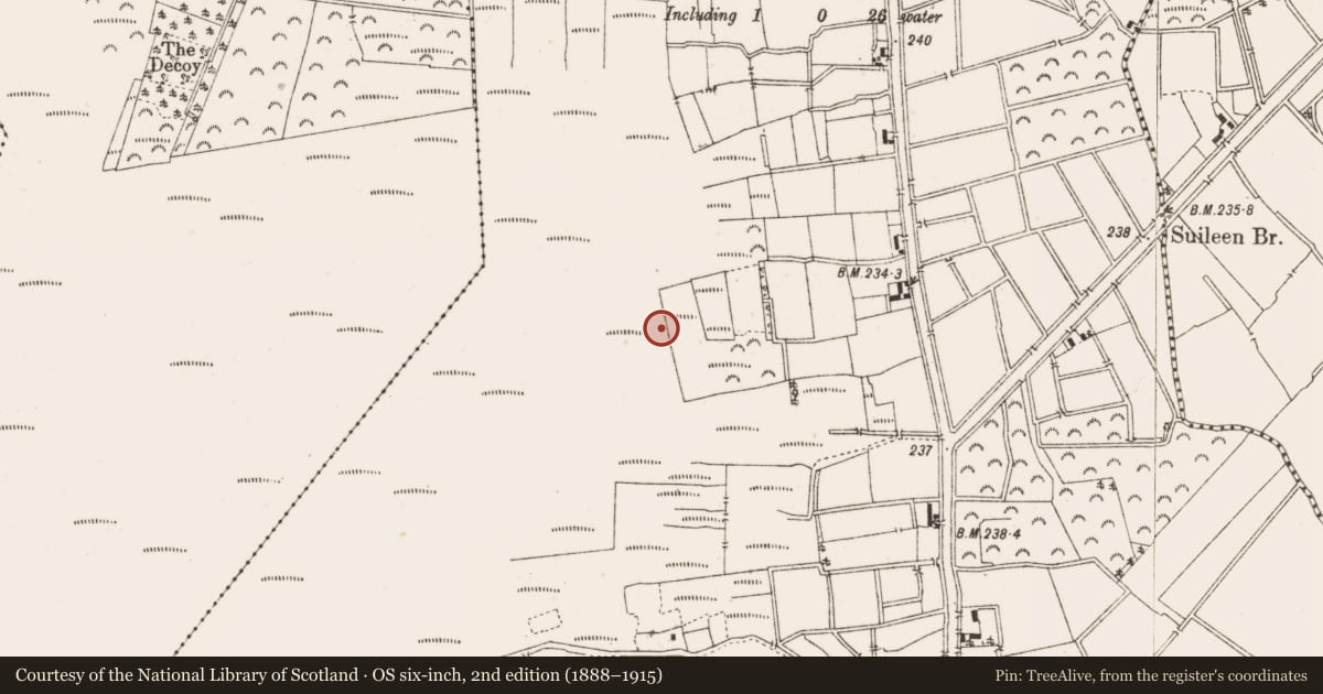 Ordnance Survey six-inch map, 2nd edition (1888–1915) covering the location of Structure - peatland, Ballykilleen, County Offaly, with a pin at the register's coordinates