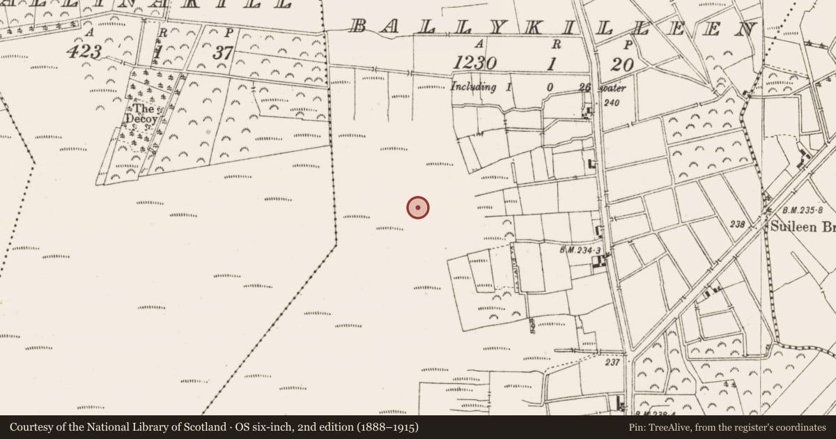 Ordnance Survey six-inch map, 2nd edition (1888–1915) covering the location of Road - class 3 togher, Ballykilleen, County Offaly, with a pin at the register's coordinates