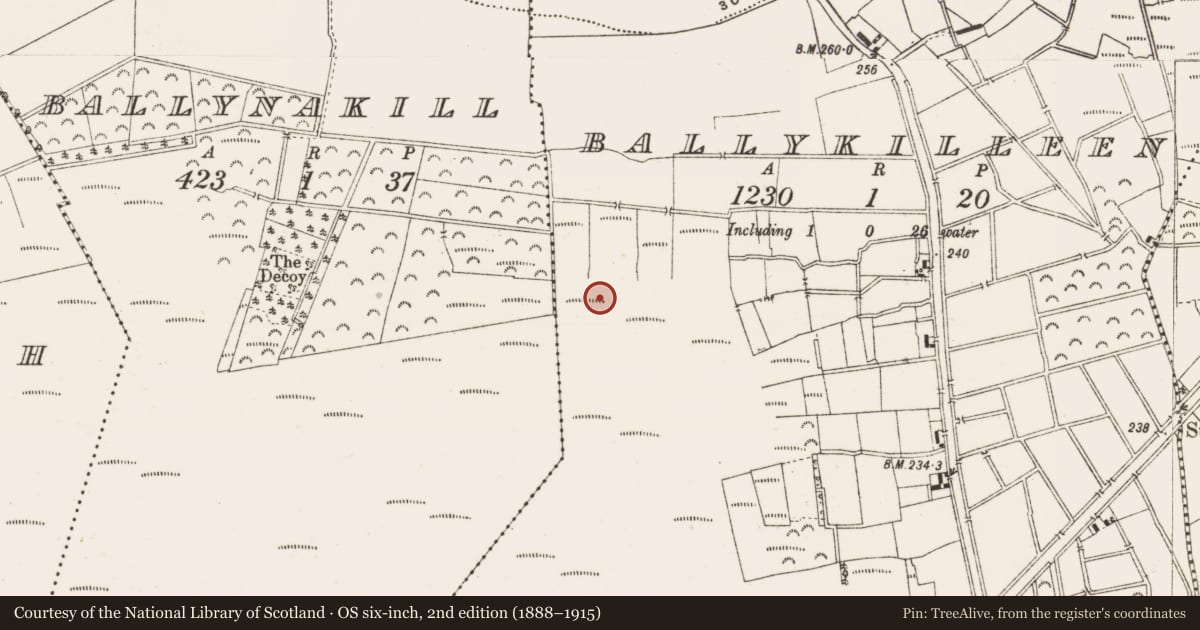 Ordnance Survey six-inch map, 2nd edition (1888–1915) covering the location of Road - class 3 togher, Ballykilleen, County Offaly, with a pin at the register's coordinates