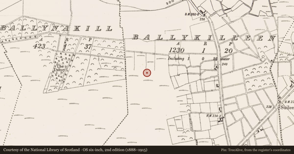 Ordnance Survey six-inch map, 2nd edition (1888–1915) covering the location of Road - class 3 togher, Ballykilleen, County Offaly, with a pin at the register's coordinates