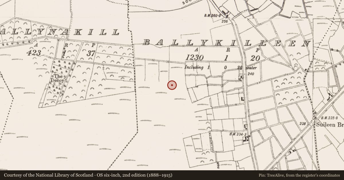 Ordnance Survey six-inch map, 2nd edition (1888–1915) covering the location of Road - class 3 togher, Ballykilleen, County Offaly, with a pin at the register's coordinates