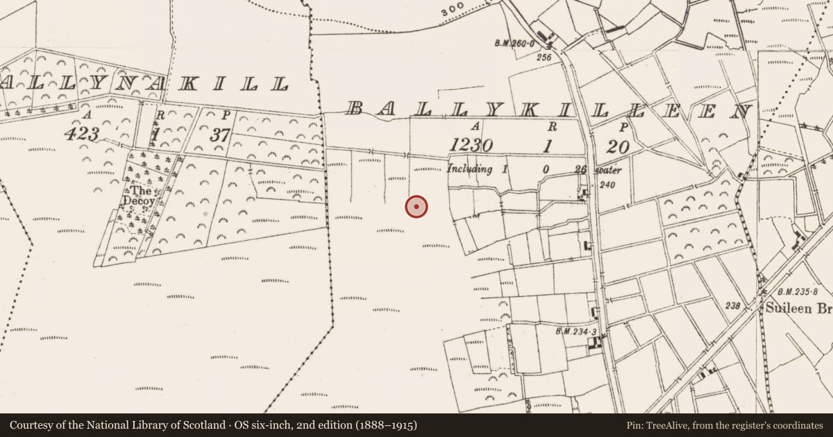 Ordnance Survey six-inch map, 2nd edition (1888–1915) covering the location of Structure - peatland, Ballykilleen, County Offaly, with a pin at the register's coordinates