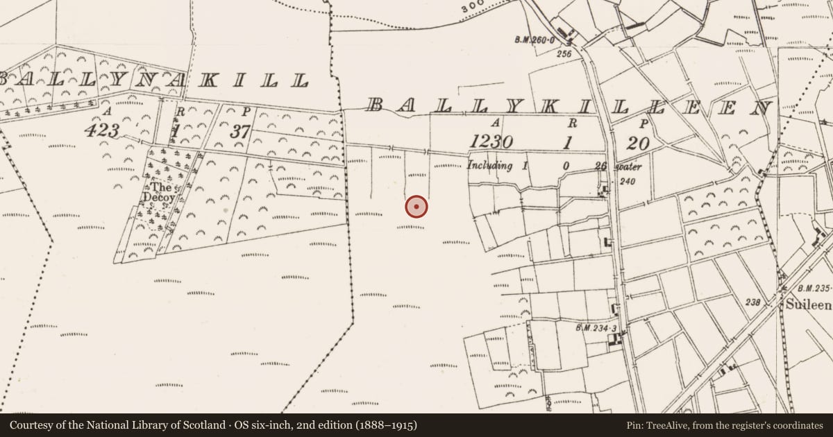 Ordnance Survey six-inch map, 2nd edition (1888–1915) covering the location of Structure - peatland, Ballykilleen, County Offaly, with a pin at the register's coordinates