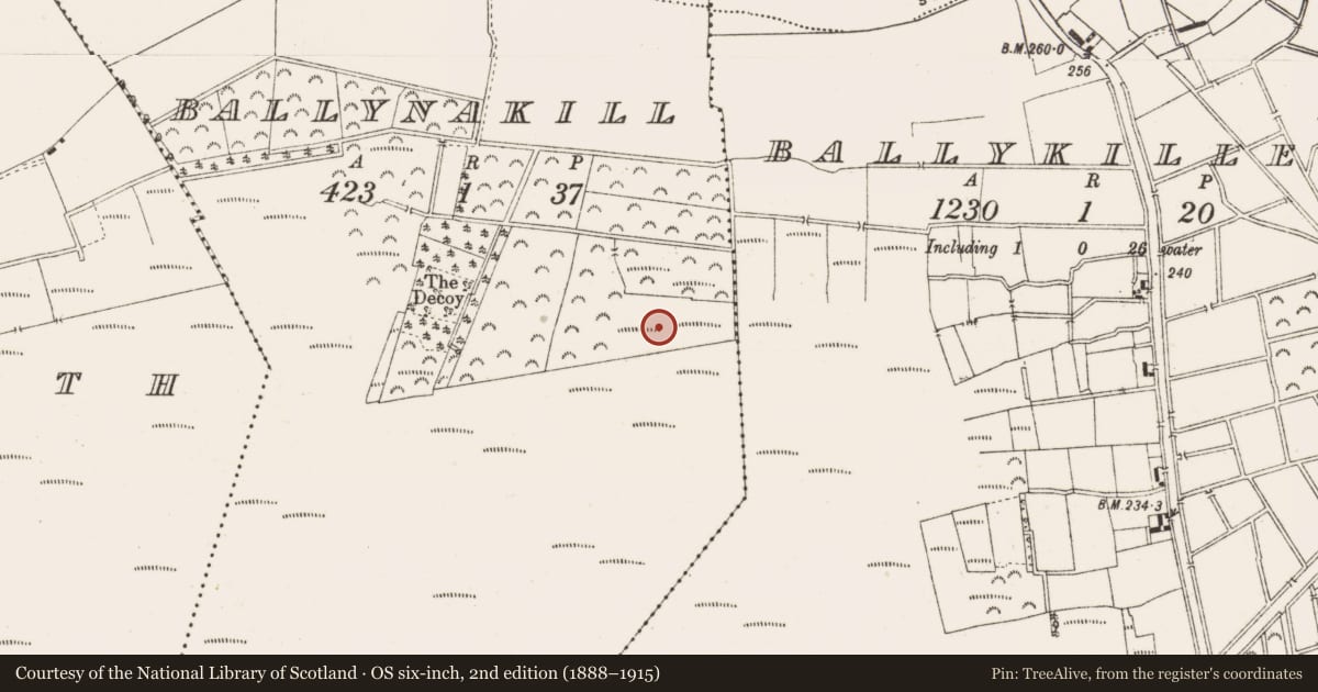Ordnance Survey six-inch map, 2nd edition (1888–1915) covering the location of Structure - peatland, Ballynakill, County Offaly, with a pin at the register's coordinates