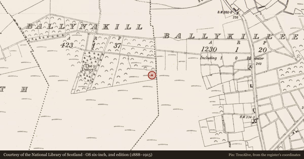 Ordnance Survey six-inch map, 2nd edition (1888–1915) covering the location of Post row - peatland, Ballynakill, County Offaly, with a pin at the register's coordinates