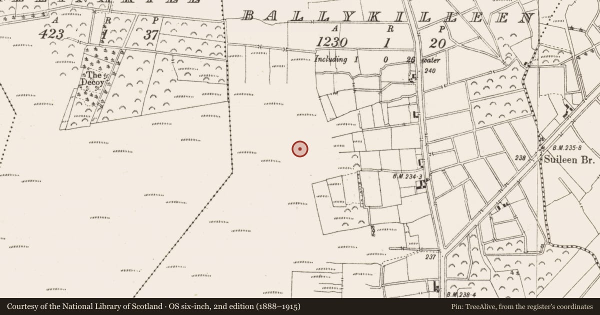 Ordnance Survey six-inch map, 2nd edition (1888–1915) covering the location of Structure - peatland, Ballykilleen, County Offaly, with a pin at the register's coordinates