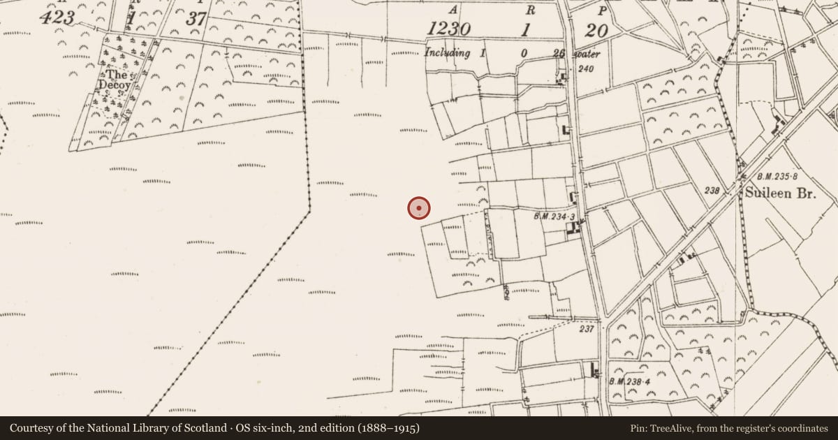 Ordnance Survey six-inch map, 2nd edition (1888–1915) covering the location of Structure - peatland, Ballykilleen, County Offaly, with a pin at the register's coordinates