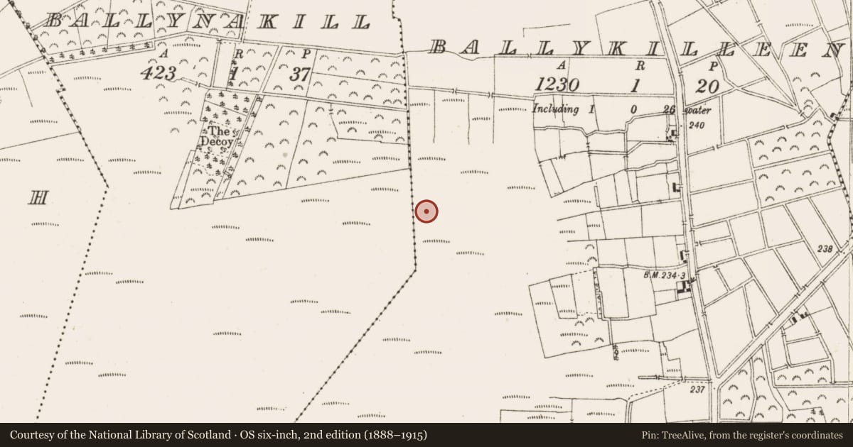 Ordnance Survey six-inch map, 2nd edition (1888–1915) covering the location of Road - class 2 togher, Ballykilleen, County Offaly, with a pin at the register's coordinates
