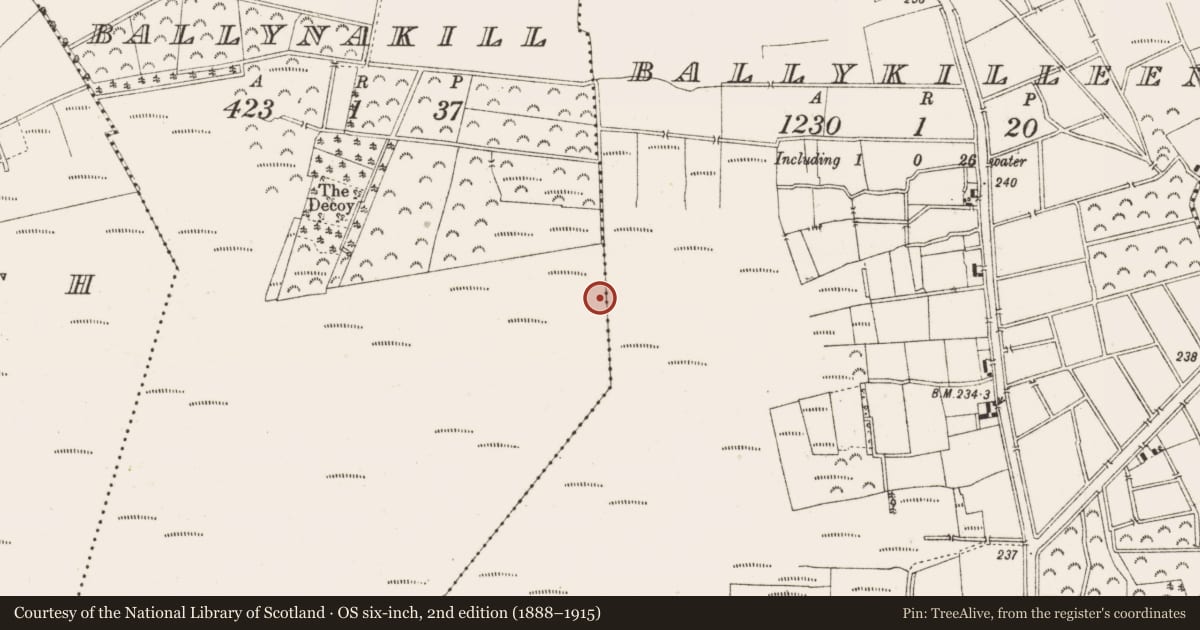 Ordnance Survey six-inch map, 2nd edition (1888–1915) covering the location of Structure - peatland, Ballynakill, County Offaly, with a pin at the register's coordinates