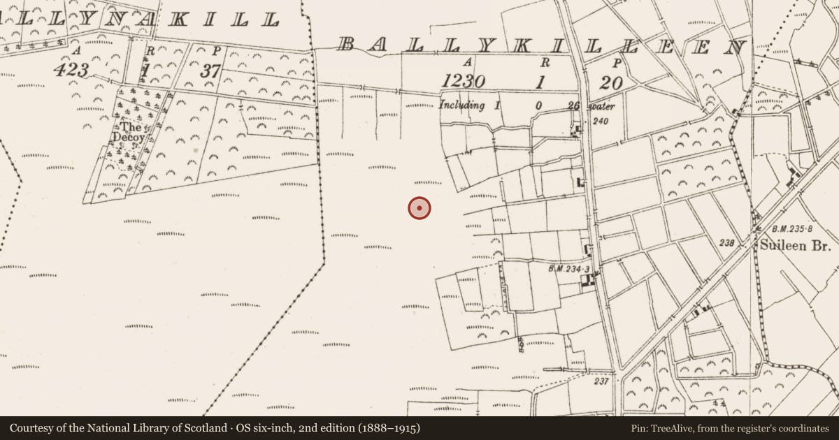Ordnance Survey six-inch map, 2nd edition (1888–1915) covering the location of Structure - peatland, Ballykilleen, County Offaly, with a pin at the register's coordinates