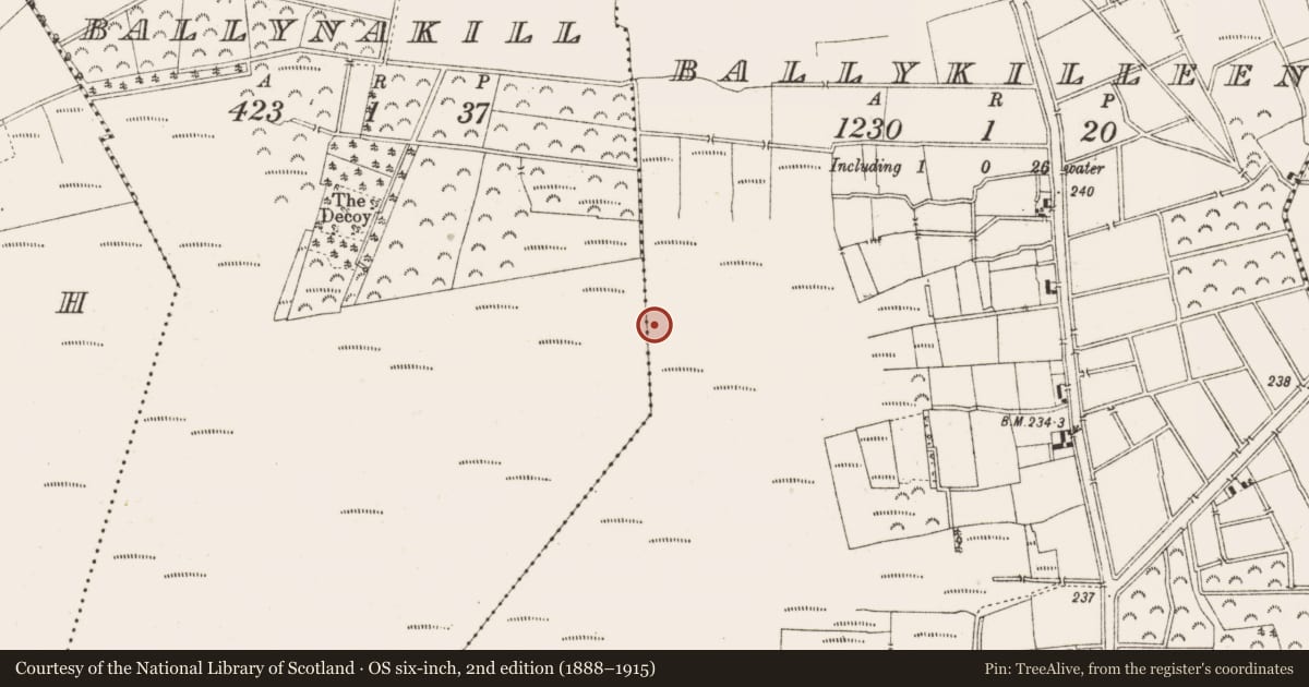 Ordnance Survey six-inch map, 2nd edition (1888–1915) covering the location of Road - class 3 togher, Ballykilleen, County Offaly, with a pin at the register's coordinates