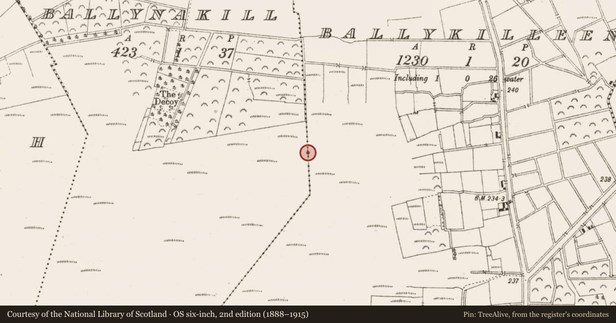 Ordnance Survey six-inch map, 2nd edition (1888–1915) covering the location of Road - class 3 togher, Ballykilleen, County Offaly, with a pin at the register's coordinates