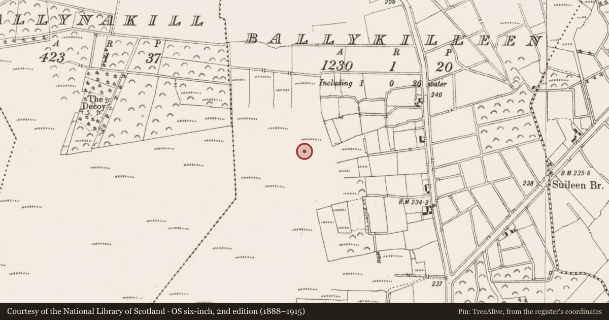 Ordnance Survey six-inch map, 2nd edition (1888–1915) covering the location of Structure - peatland, Ballykilleen, County Offaly, with a pin at the register's coordinates