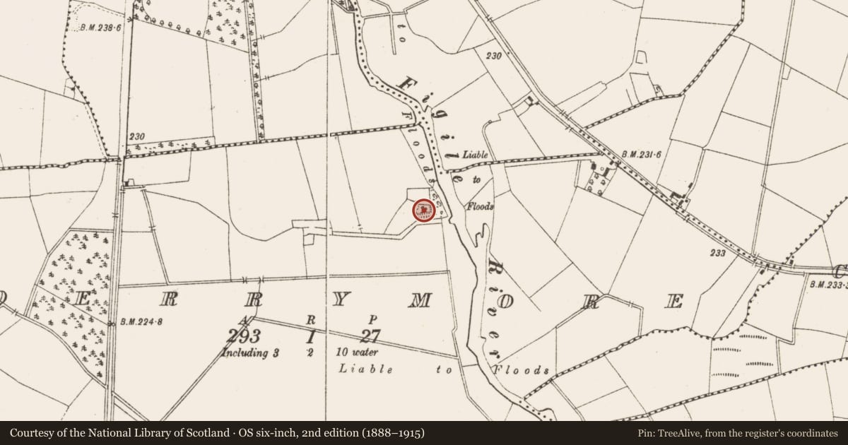 Ordnance Survey six-inch map, 2nd edition (1888–1915) covering the location of Enclosure, Derrymore, County Offaly, with a pin at the register's coordinates