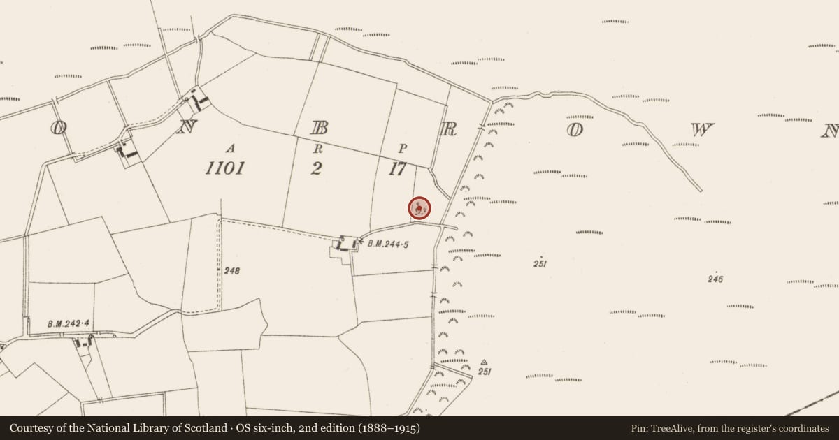 Ordnance Survey six-inch map, 2nd edition (1888–1915) covering the location of Enclosure, Clonbrown, County Offaly, with a pin at the register's coordinates