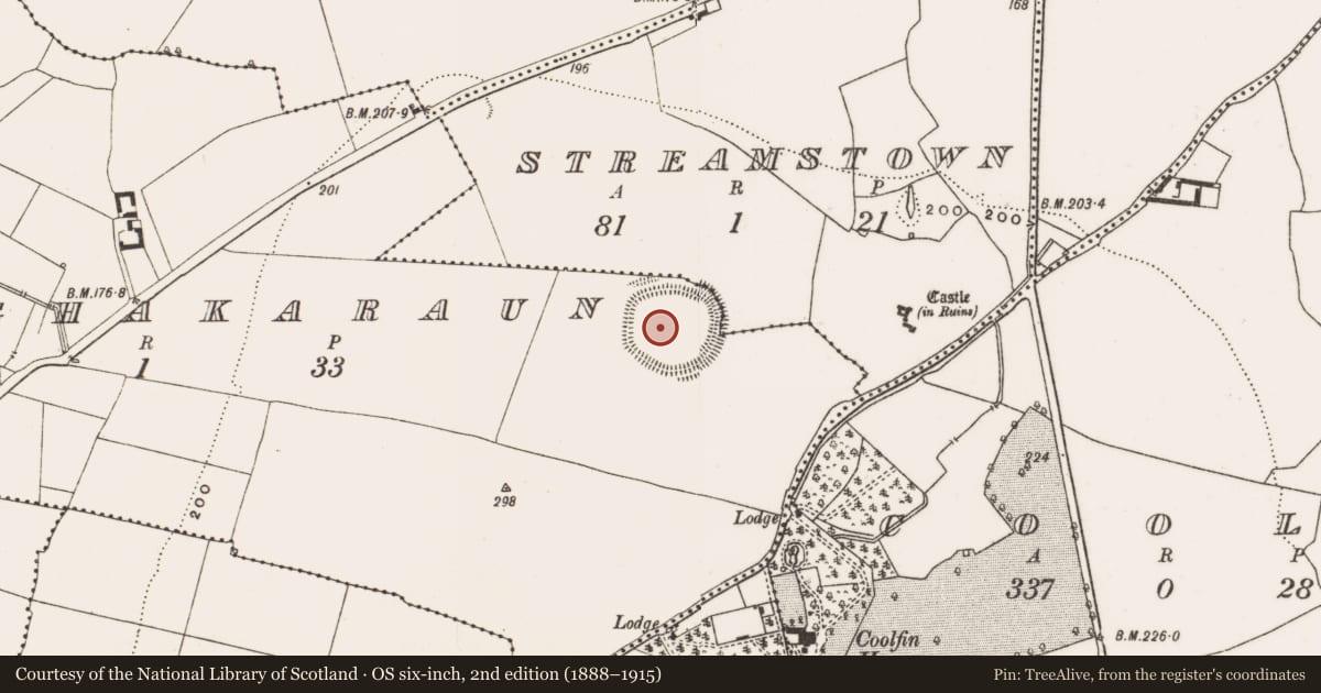 Ordnance Survey six-inch map, 2nd edition (1888–1915) covering the location of Hut site, Mullaghakaraun, County Offaly, with a pin at the register's coordinates