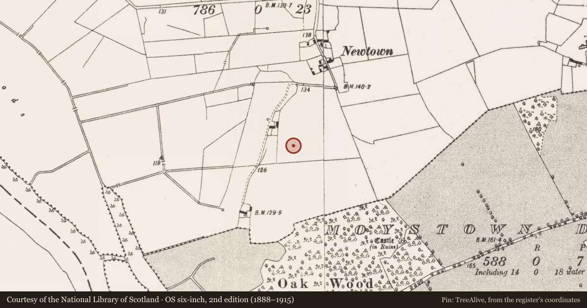 Ordnance Survey six-inch map, 2nd edition (1888–1915) covering the location of Enclosure, Lisclooney, County Offaly, with a pin at the register's coordinates