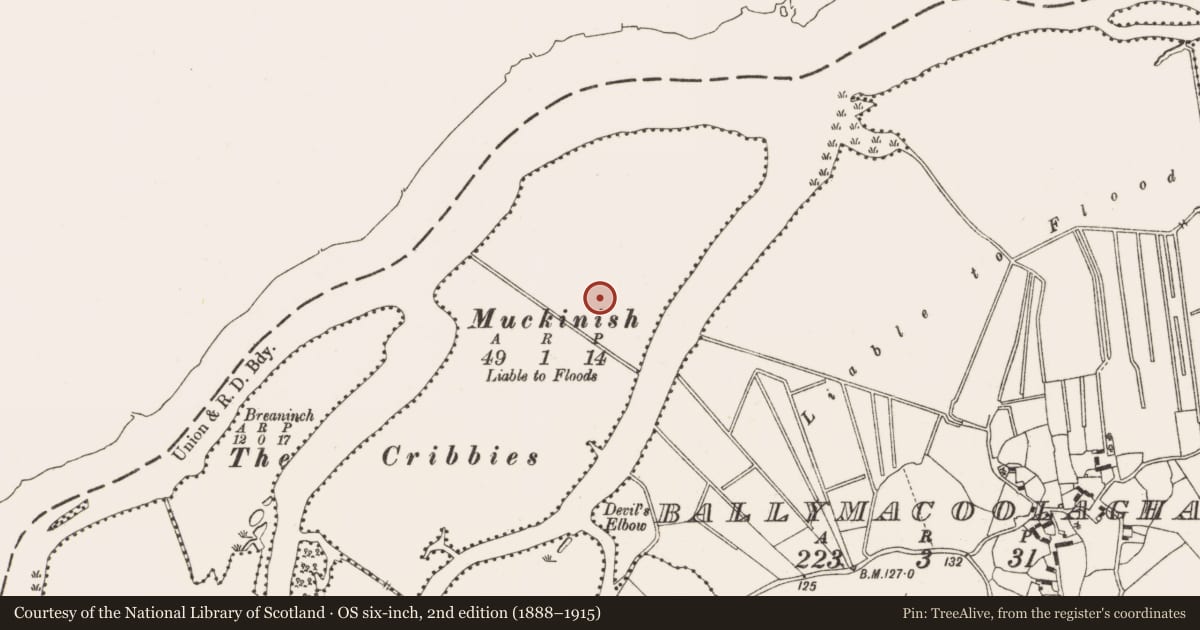 Ordnance Survey six-inch map, 2nd edition (1888–1915) covering the location of Enclosure, Muckinish Island, County Offaly, with a pin at the register's coordinates