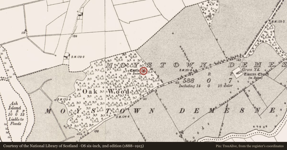 Ordnance Survey six-inch map, 2nd edition (1888–1915) covering the location of Castle - unclassified, Moystown Demesne, County Offaly, with a pin at the register's coordinates