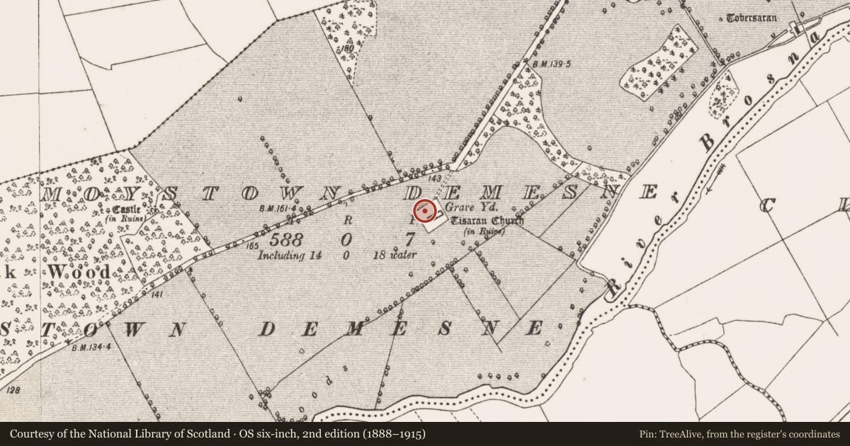 Ordnance Survey six-inch map, 2nd edition (1888–1915) covering the location of Cross-slab, Moystown Demesne, County Offaly, with a pin at the register's coordinates