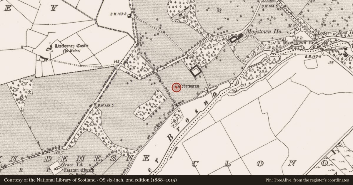 Ordnance Survey six-inch map, 2nd edition (1888–1915) covering the location of Ritual site - holy well, Moystown Demesne, County Offaly, with a pin at the register's coordinates