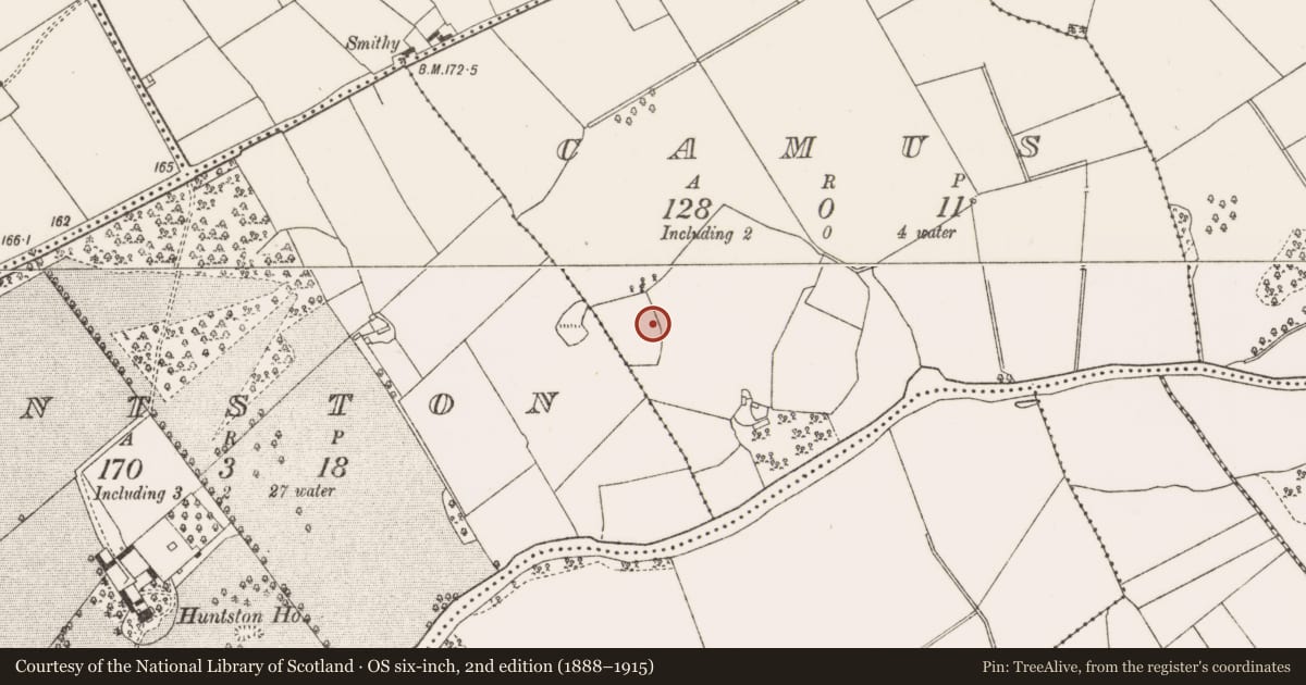 Ordnance Survey six-inch map, 2nd edition (1888–1915) covering the location of Enclosure, Camus, County Offaly, with a pin at the register's coordinates