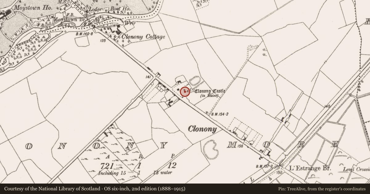 Ordnance Survey six-inch map, 2nd edition (1888–1915) covering the location of Graveslab, Clonony More, County Offaly, with a pin at the register's coordinates
