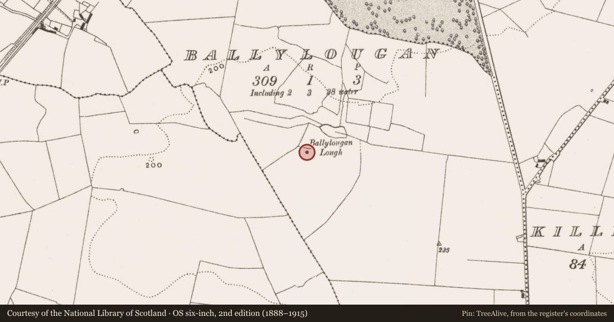 Ordnance Survey six-inch map, 2nd edition (1888–1915) covering the location of Enclosure, Ballyloughan, County Offaly, with a pin at the register's coordinates