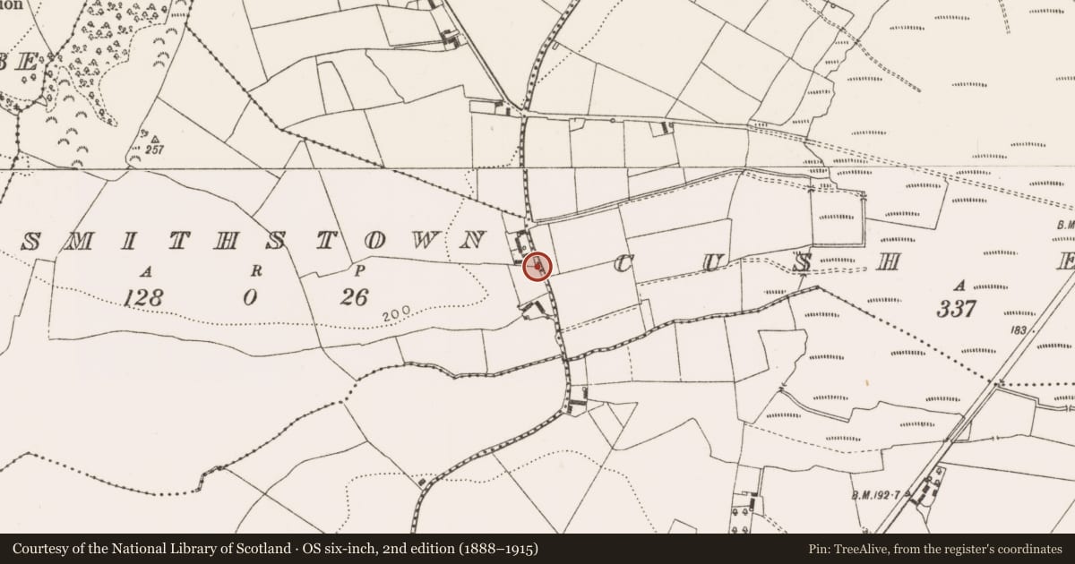 Ordnance Survey six-inch map, 2nd edition (1888–1915) covering the location of Ritual site - holy well, Cush East, County Offaly, with a pin at the register's coordinates