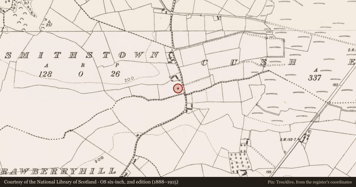 Ordnance Survey six-inch map, 2nd edition (1888–1915) covering the location of Graveslab, Smithstown, County Offaly, with a pin at the register's coordinates