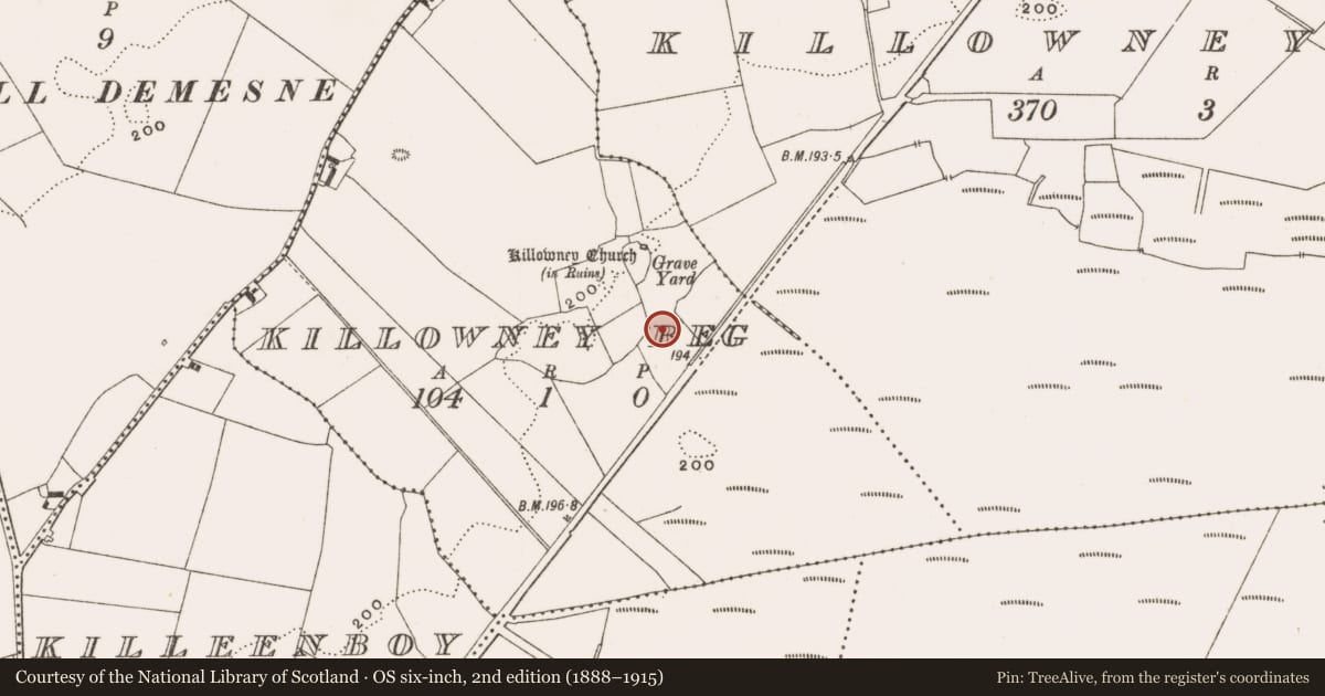Ordnance Survey six-inch map, 2nd edition (1888–1915) covering the location of Fulacht fia, Killowney Beg, County Offaly, with a pin at the register's coordinates