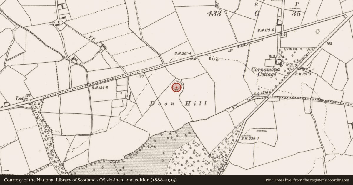 Ordnance Survey six-inch map, 2nd edition (1888–1915) covering the location of Ringfort - rath, Attinkee, County Offaly, with a pin at the register's coordinates