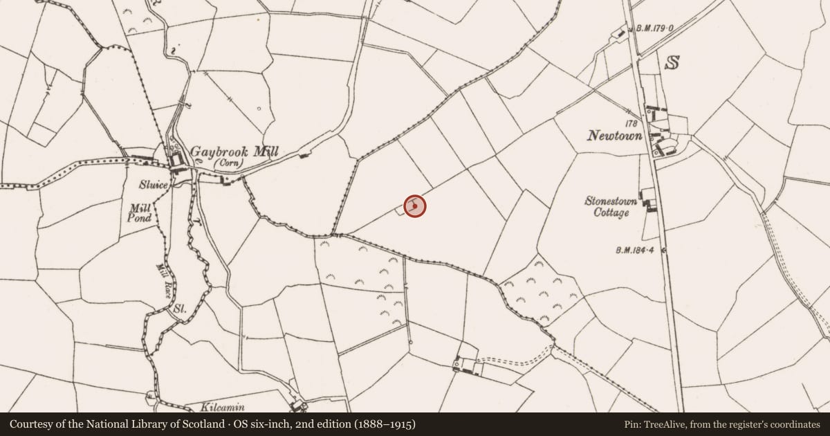 Ordnance Survey six-inch map, 2nd edition (1888–1915) covering the location of Enclosure, Stonestown, County Offaly, with a pin at the register's coordinates