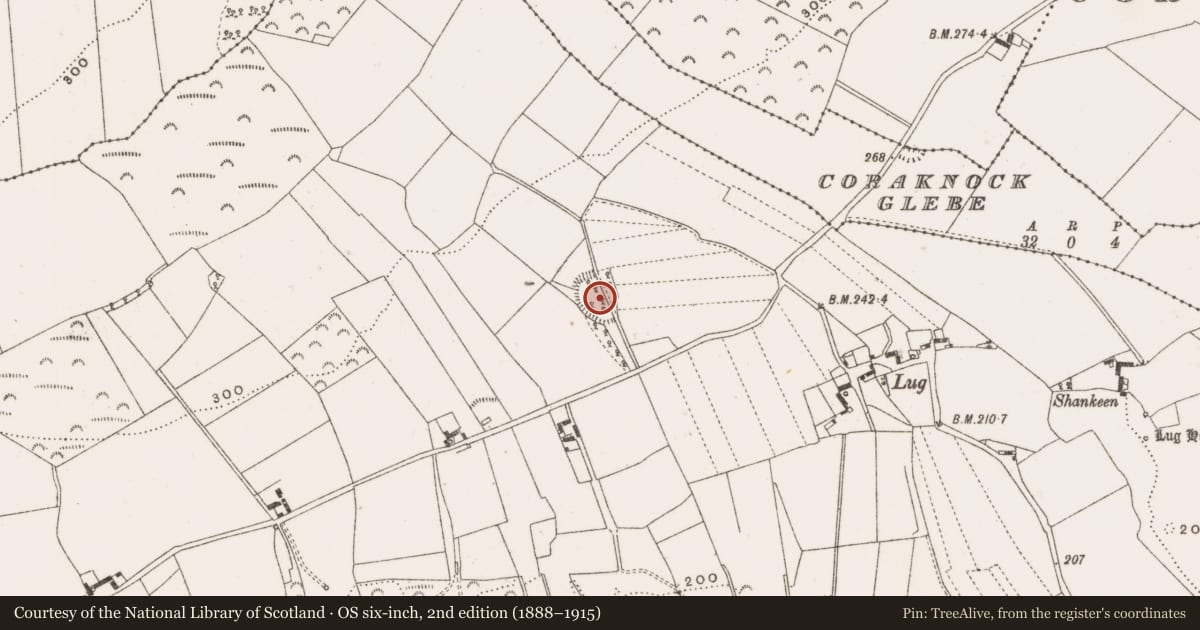Ordnance Survey six-inch map, 2nd edition (1888–1915) covering the location of Enclosure, Stonestown, County Offaly, with a pin at the register's coordinates