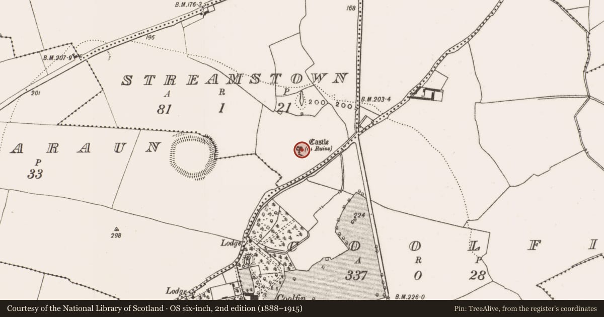 Ordnance Survey six-inch map, 2nd edition (1888–1915) covering the location of Castle - tower house, Streamstown, County Offaly, with a pin at the register's coordinates
