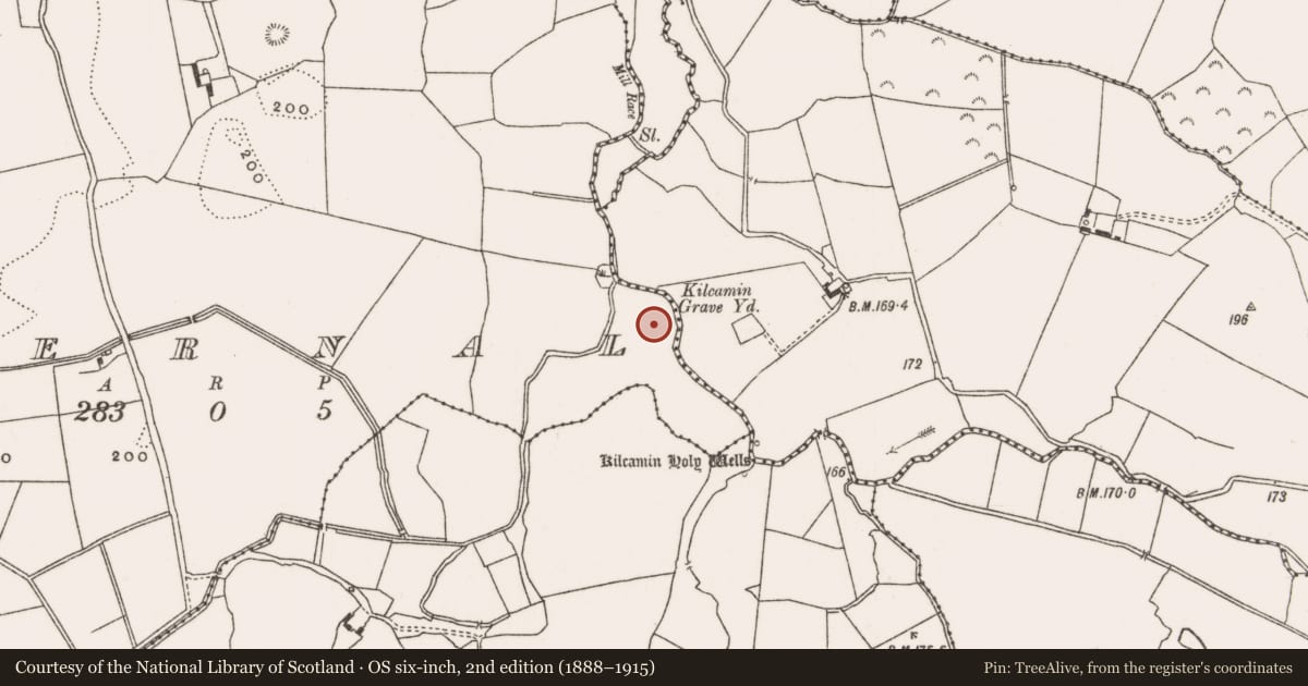 Ordnance Survey six-inch map, 2nd edition (1888–1915) covering the location of Church, Guernal, County Offaly, with a pin at the register's coordinates