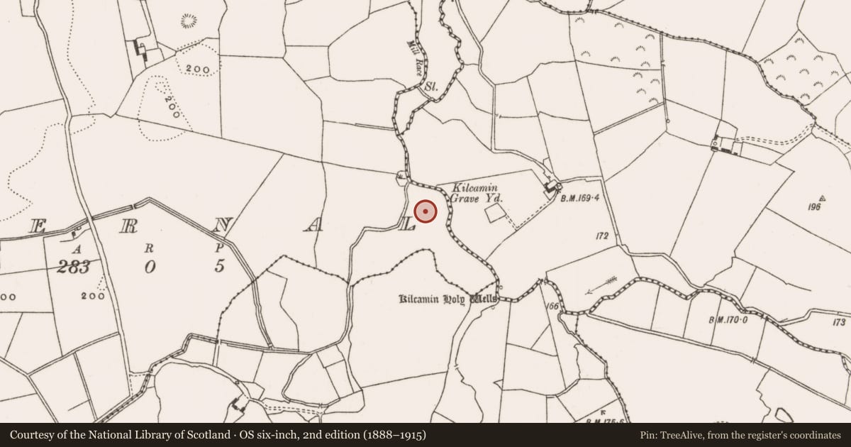 Ordnance Survey six-inch map, 2nd edition (1888–1915) covering the location of Bullaun stone, Guernal, County Offaly, with a pin at the register's coordinates