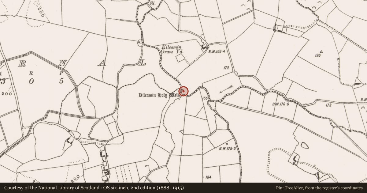 Ordnance Survey six-inch map, 2nd edition (1888–1915) covering the location of Ritual site - holy well, Carrick, Kilcamin, County Offaly, with a pin at the register's coordinates