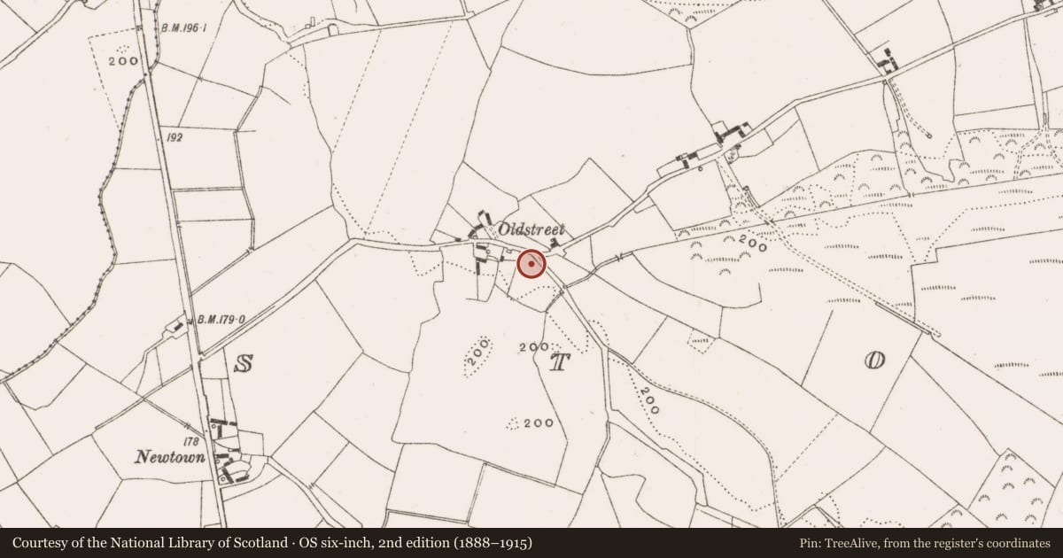 Ordnance Survey six-inch map, 2nd edition (1888–1915) covering the location of Castle - unclassified, Stonestown, County Offaly, with a pin at the register's coordinates
