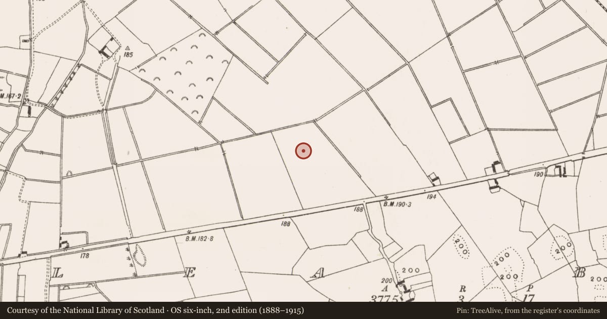Ordnance Survey six-inch map, 2nd edition (1888–1915) covering the location of Enclosure, Lea Beg, County Offaly, with a pin at the register's coordinates