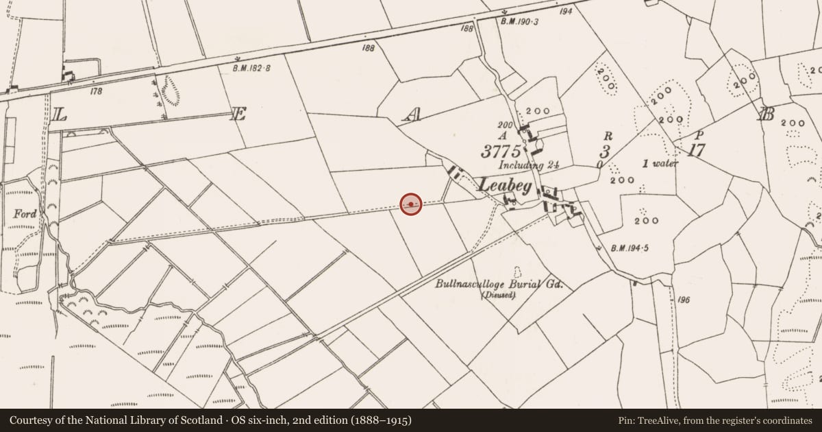 Ordnance Survey six-inch map, 2nd edition (1888–1915) covering the location of Enclosure, Lea Beg, County Offaly, with a pin at the register's coordinates