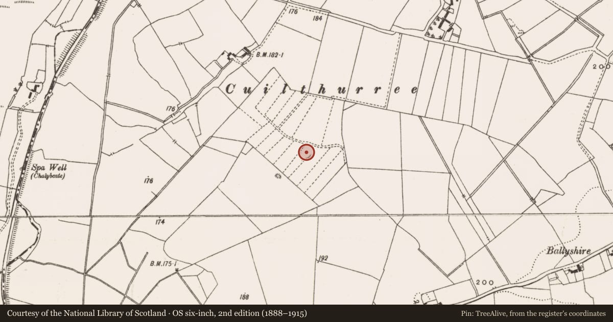 Ordnance Survey six-inch map, 2nd edition (1888–1915) covering the location of Ringfort - rath, Broughal, County Offaly, with a pin at the register's coordinates
